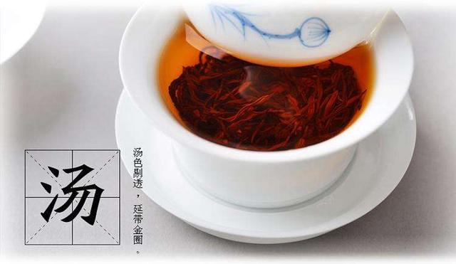 茶的英文单词是什么意思（茶的英文读Tea还是Cha）(1)