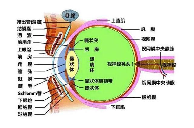 视力低下的眼睛是怎么回事（视力下降的原因）(1)