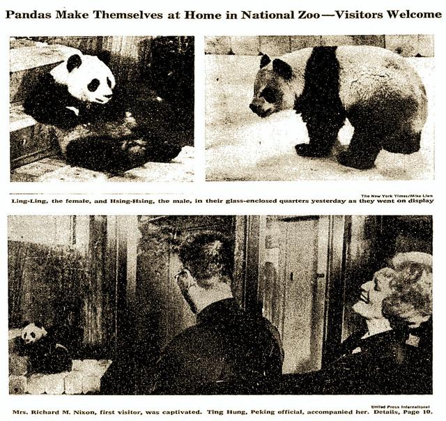 1972年大熊猫第一次去日本（第一对旅日大熊猫背后不为人知的故事）(1)