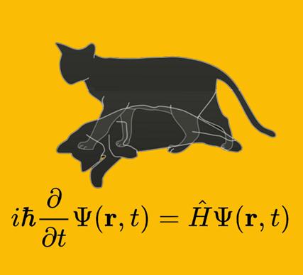 薛定谔的猫是什么意思（薛定谔的猫这梗怎么用）(1)